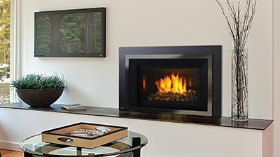 Horizon® HRI6E Gas Insert
